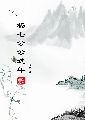杨七公公过年