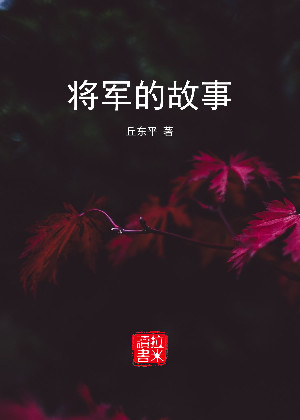 将军的故事