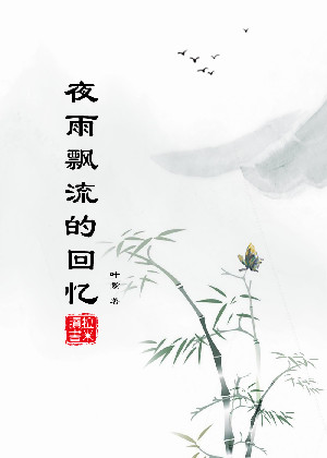 夜雨飘流的回忆